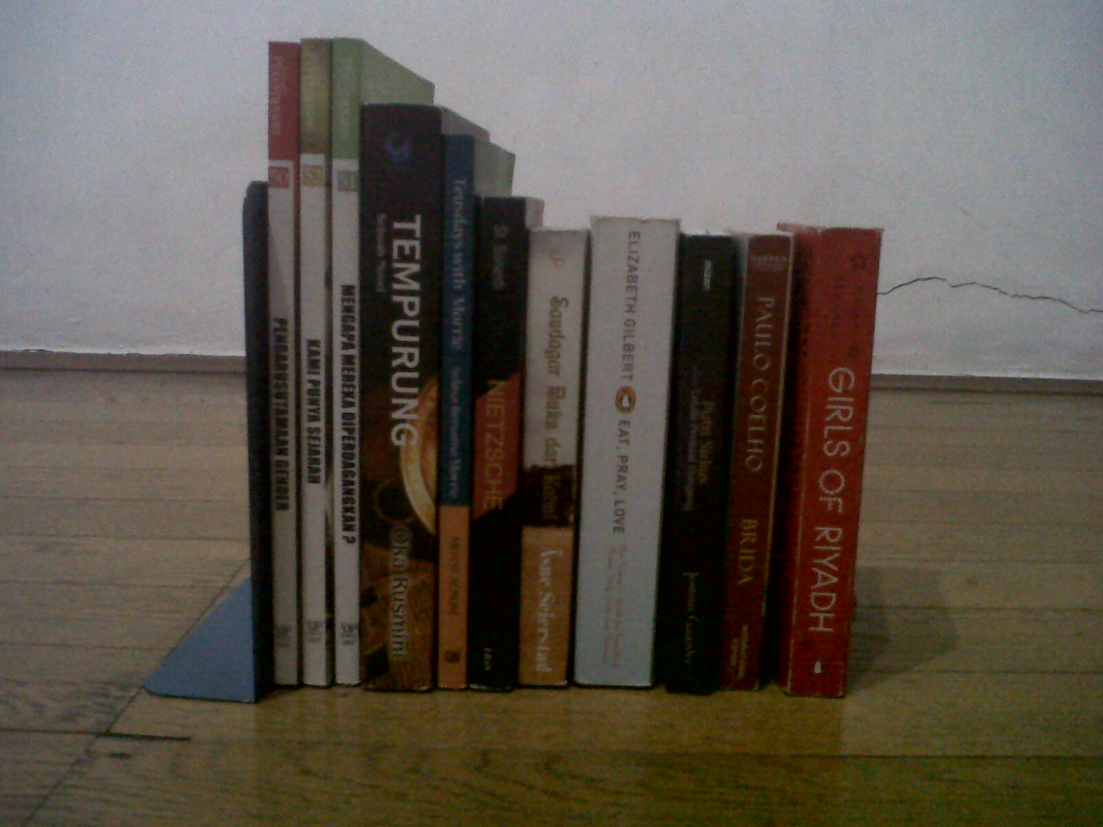 IMG00065-20110101-0256