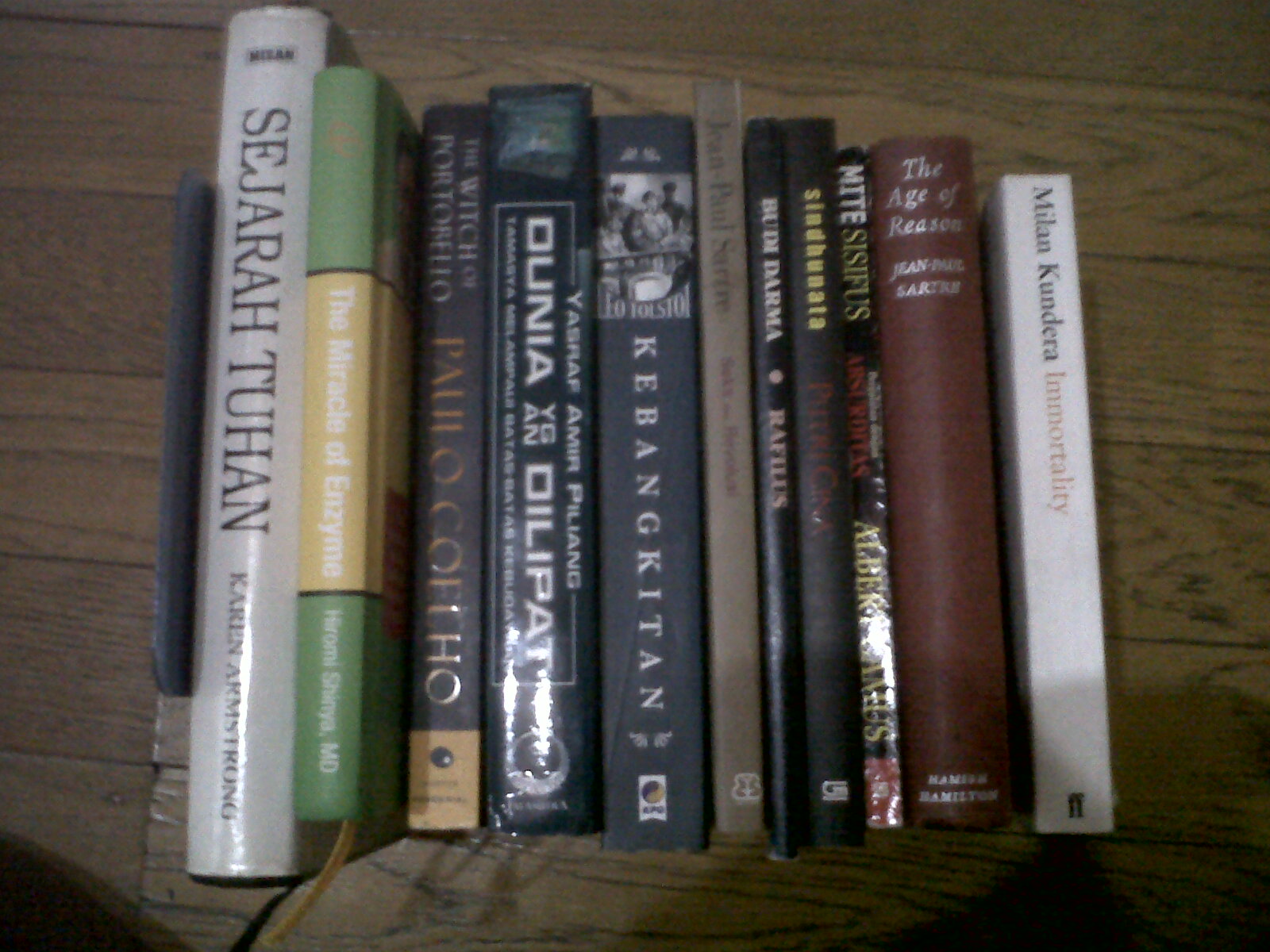 IMG00069-20110101-0305